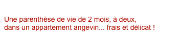 En quarantaine
Une parenthèse de vie de 2 mois, à deux, 
dans un appartement angevin... frais et délicat ! 
