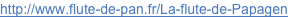 shapeimage_1_link_3